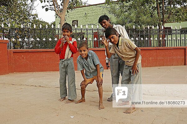 Jungen  Bharatpur  Rajasthan  Indien  Asien