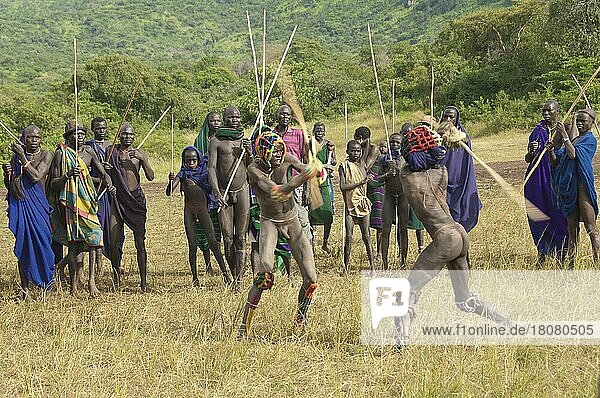 Donga stick fighters fight each other  Surma tribe  Tulgit  Omo Valley  Ethiopia  Africa