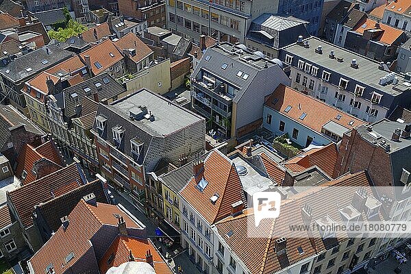 Luftaufnahme über alte und neue Häuser im historischen Zentrum von Gent  Belgien  Europa