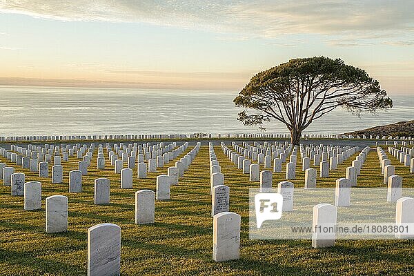 Der Veteranenfriedhof auf dem Fort Rosecrans National Cemetery  San Diego  Kalifornien USA