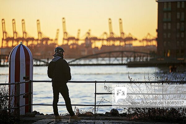 A person in front of loading cranes at the Norderelbe in Altona  Port of Hamburg  Hamburg  Germany  Europe