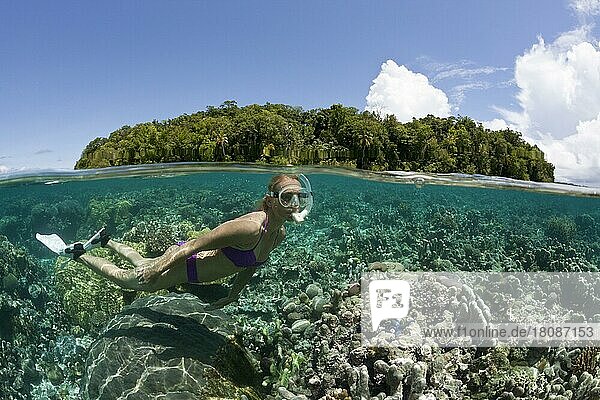 Snorkeling in shallow water  Marovo Lagoon  Solomon Islands  Oceania