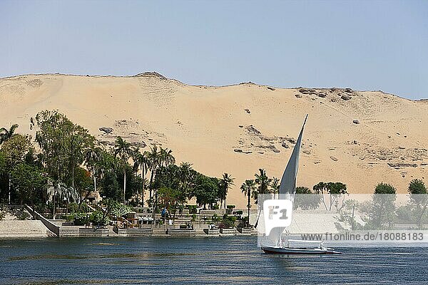 Segelschiff auf dem Nil  Kitchener Insel  Assuan  Feluke  Ägypten  Afrika