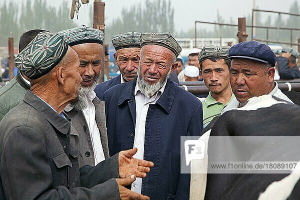 Uyghur farmers wearing doppas trade cows at the cattle market in Kashgar  Kashi  Xinjiang  China  Asia