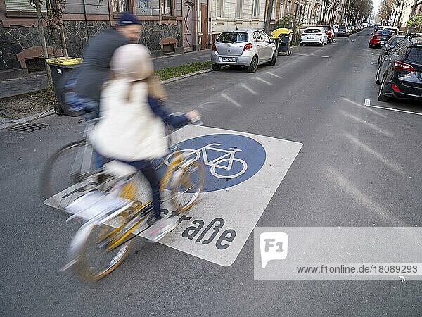Fahrradfahrer auf einer Fahrradstraße  Offenbach am Main  Hessen  Deutschland  Europa