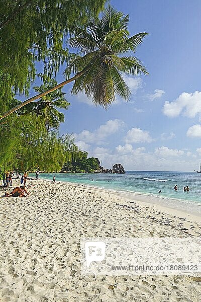 Dream beach Anse Kerlan  La Digue Island  Seychelles  Africa