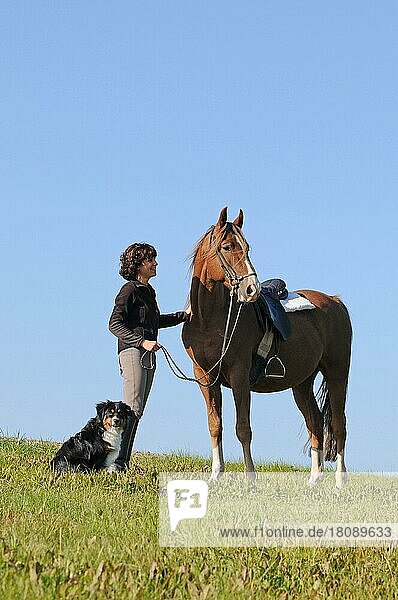 Frau mit American Saddlebred Horse und Hund  Reitbegleithund