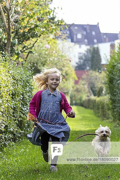Girl (6) with dog  walking dog  Kiel  Germany  Europe