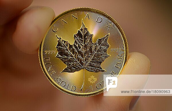 1 Unze  Canadian Maple Goldmünze