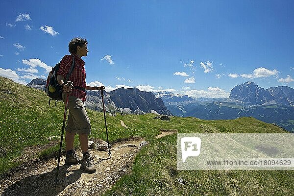 Wandern auf der Seceda mit Blick auf Langkofel und Plattkofel  Grödnertal  Dolomiten  Trentino Südtirol  Italien  Europa
