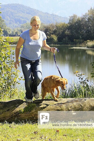 Frau und Golden Retriever  Junghund  klettern über Baumstamm  Spaziergang