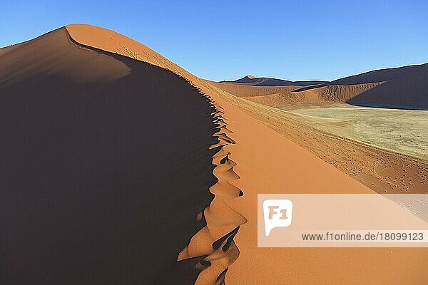 Sanddünen  Düne 45  Sossusvlei  Schatten  Namibia  Afrika