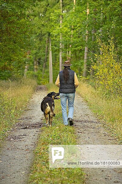 Frau und Mischlingshund  Spaziergang  gehen spazieren  bei Fuß gehen