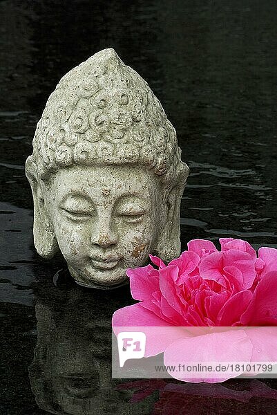 Kamelienblüte und Buddha-Kopf