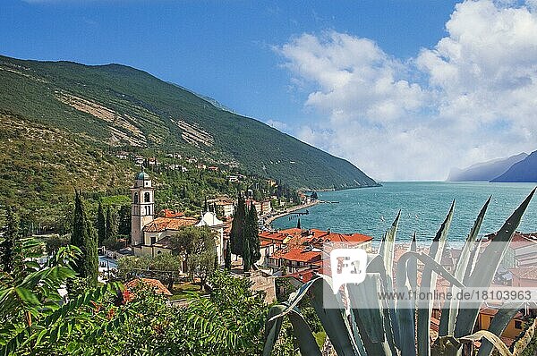 Torbole  Lake Garda  Italy  Europe