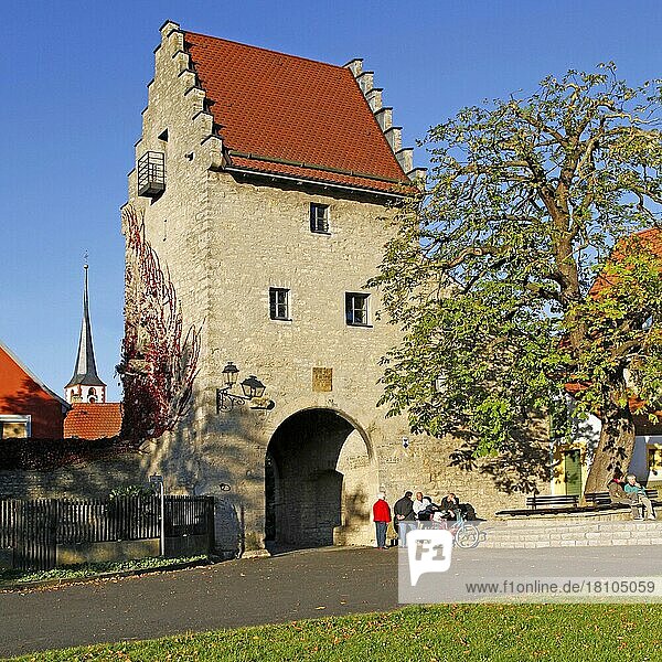 Maintor  errichtet 1477  südliches Haupttor  Frickenhausen  Unterfranken  Bayern  Deutschland  Europa