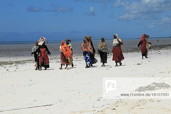 Women on the beach  Zanzibar  Tanzania  Africa