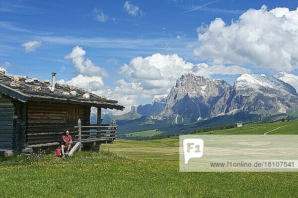 Alpine huts on the Alpe di Siusi with Sassolungo and Sassolungo  Dolomites  Trentino South Tyrol  Italy  Europe