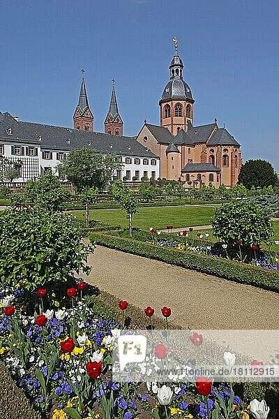 Einhard-Basilika  Klostergarten  Frühlingsblumen  Seligenstadt  Hessen  Deutschland  Europa