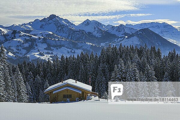 Aussicht vom Jaunpass  Chalet  Berner Oberland  Schweiz  Europa