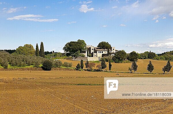 Herrenhaus mit Olivenbäumen und Zypressen  Siena  Crete Senesi  Toscana  Toskana  Italien  Europa