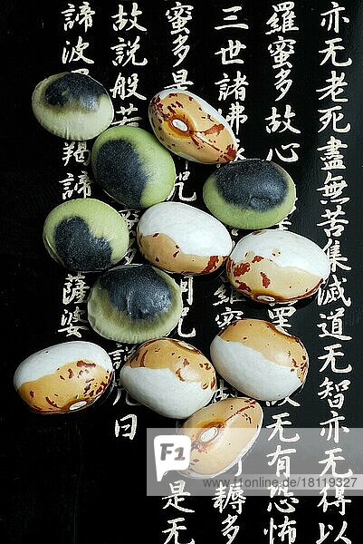 Japanische Sojabohnen (Glycine max)  weiss-braun aus Hokkaido  schwarz-grün aus Nagano  Soja  Soja-Bohne  Soja-Bohnen  Schriftzeichen