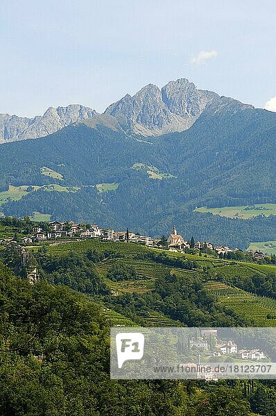 Algund  South Tyrol  Italy  Europe