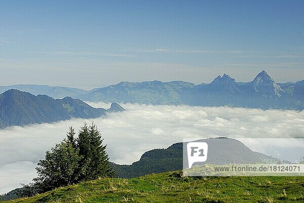 Tal im Nebel  see  Vierwaldstätter See  bei Niederbauen  Kanton Nidwalden  Schweiz  Europa