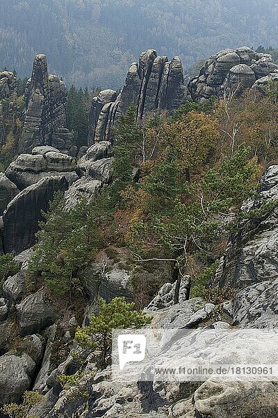 Felsen an der Schrammstein-Aussicht  Elbsandsteingebirge  Natiobnalpark Sächsiche Schweiz  Sachsen  Deutschland  Europa