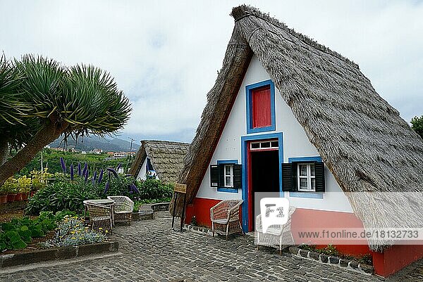 Strohgedecktes Haus in Santana  Casas Colmo  Santana-Haus  Santana-Häuser  Madeira  Portugal  Europa