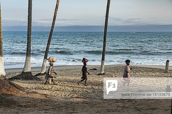 Strand  Sandstrand  Palmen  Frauen  Brennholz  Meer  Brenu  Dorf bei Elmina  Golf von Guinea  Ghana  Afrika
