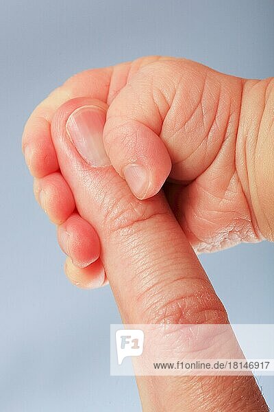 Babyhand umgreift Finger eines Erwachsenen