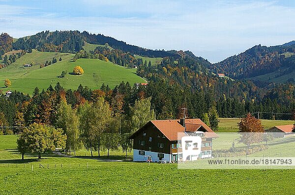 Bauernhof bei Oberstaufen  Allgäu  Bayern  Deutschland  Europa