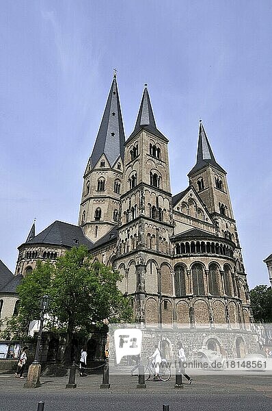 Bonner Münster  basilika  kirche  Bonn  Nordrhein-Westfalen  Deutschland  Europa