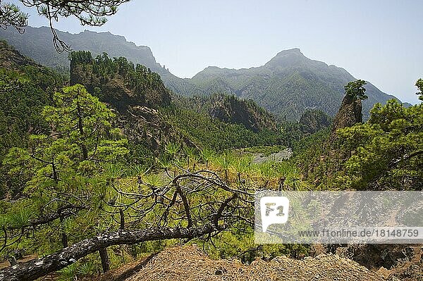 Parque Nacional de la Caldera de Taburiente  La Palma  Kanarische Inseln  Spanien  Europa