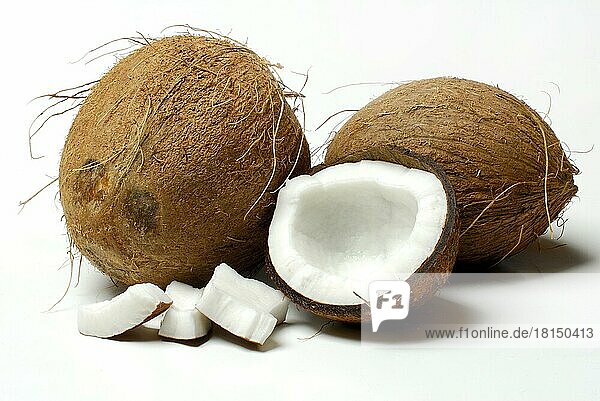 Kokosnüsse (Cocos nucifera)  Kokosnuss