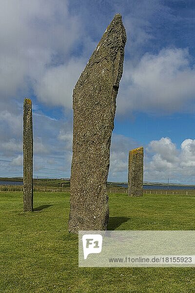 Standing stones of Stennes  Orkneys  Schottland  Großbritannien  Europa