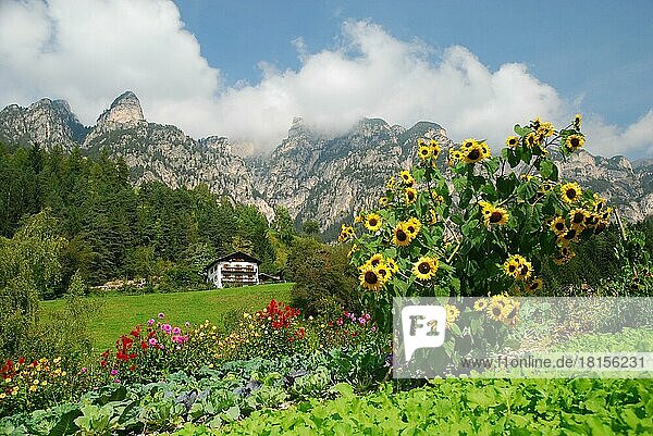 Farm garden  Latemar  Catinaccio Group  Dolomites  South Tyrol  Italy  Europe