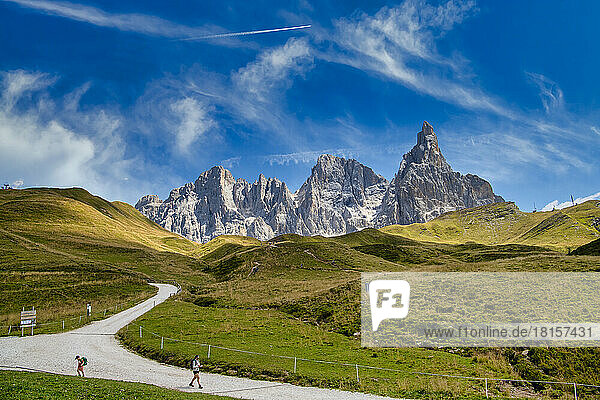 Pale di San Martino  Naturpark Paneveggio  Passo Rolle  Dolomiten  Trentino  Italien  Europa