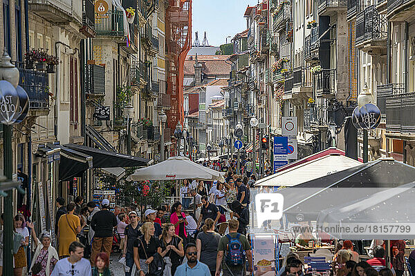 Blick auf Cafés  Geschäfte und Bars auf der belebten Rua das Flores  Porto  Norte  Portugal  Europa