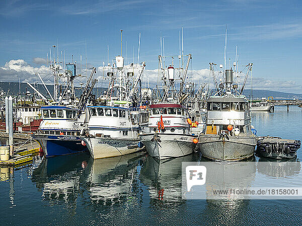 Kommerzielle Fischerboote aller Arten und Größen im Hafen von Homer in der Kachemak Bay  Kenai-Halbinsel  Alaska  Vereinigte Staaten von Amerika  Nordamerika