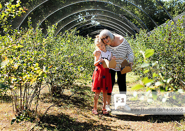 Oma und Enkelin pflücken gemeinsam Blaubeeren