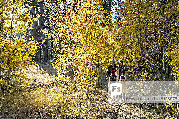 Eine junge Familie wandert im Herbst durch einen Espenhain.