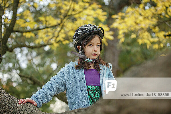 Ein kleines Mädchen mit Fahrradhelm sitzt stolz im Geäst