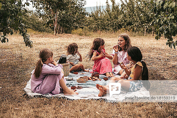 Children make a picnic in nature outdoor recreation