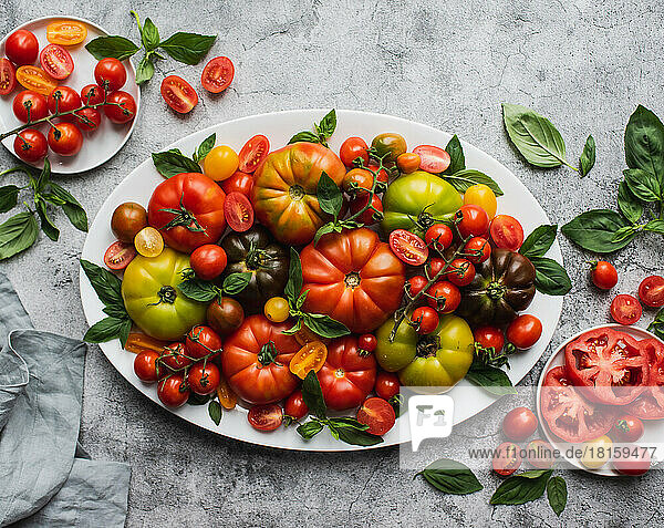 Draufsicht auf einen Teller mit Tomaten und Basilikum auf grauem Hintergrund.