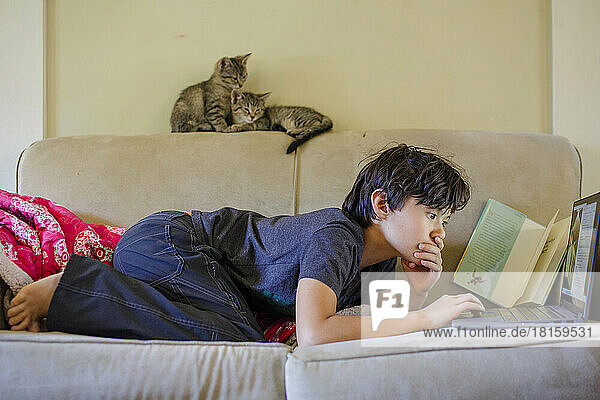 A boy works at computer on couch with two kittens