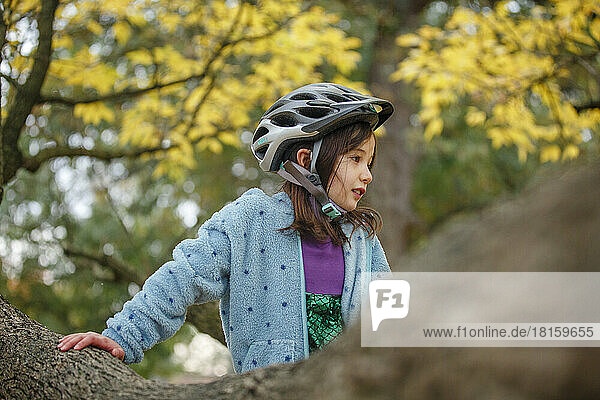 Ein kleines Mädchen mit Fahrradhelm klettert im Herbst auf einen Baum