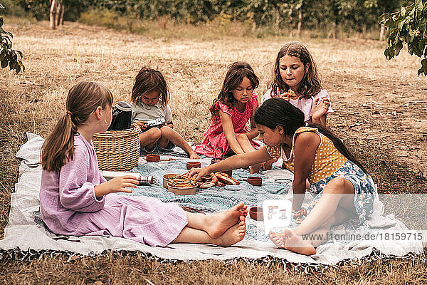 Kinder machen ein Picknick in der Natur Erholung im Freien