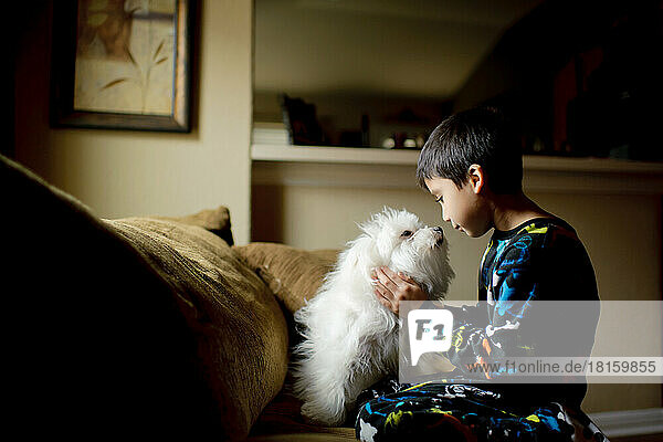 Ein Junge bewundert seinen Hund